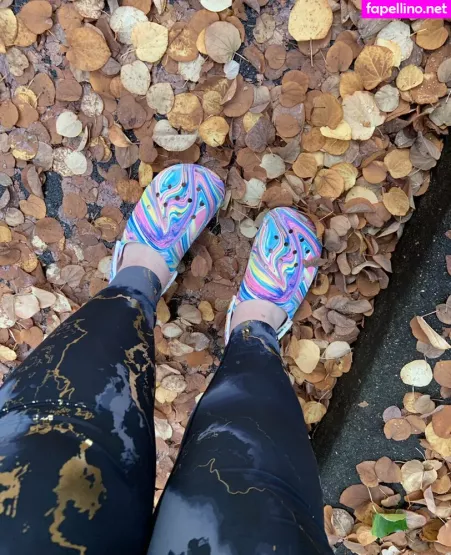 Collzorgs OnlyFans Thumbnail #8jsIfbQmi1