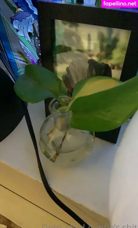 Collzorgs OnlyFans Thumbnail #vP6zivmpDq