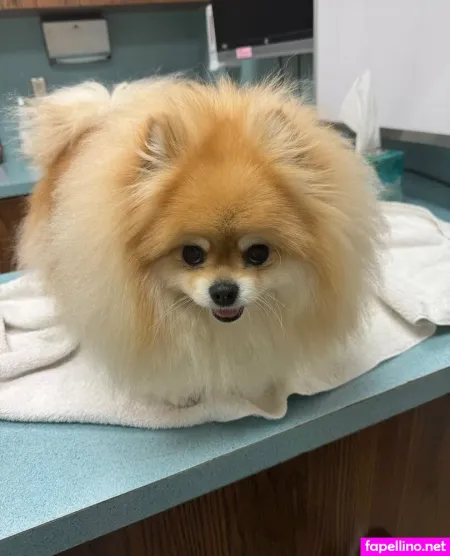 Colympios OnlyFans Thumbnail #JBiPV97TPi