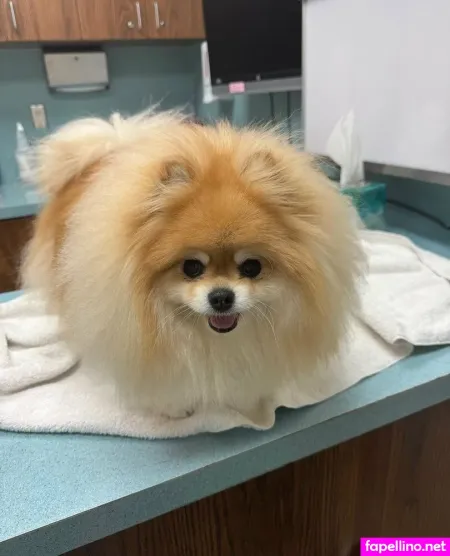 Colympios OnlyFans Thumbnail #Vf7uiNFlDV