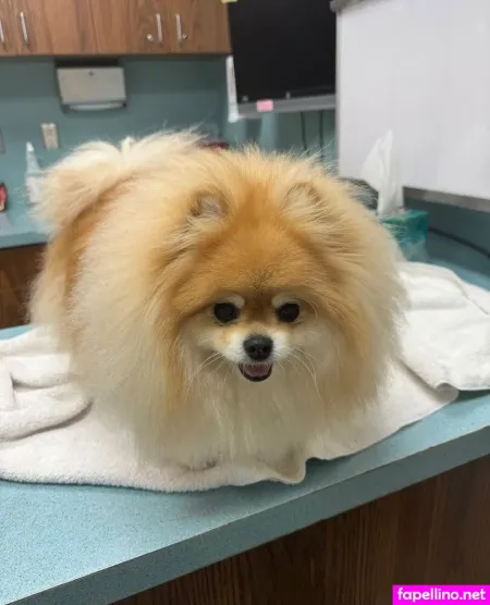 Colympios OnlyFans Thumbnail #oF8ukpA7wT