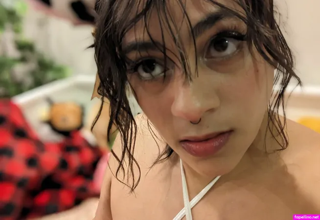 Cookiedoe Main Profile Photo