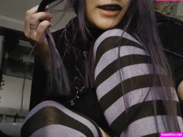 Coophound 1 Main Profile Photo