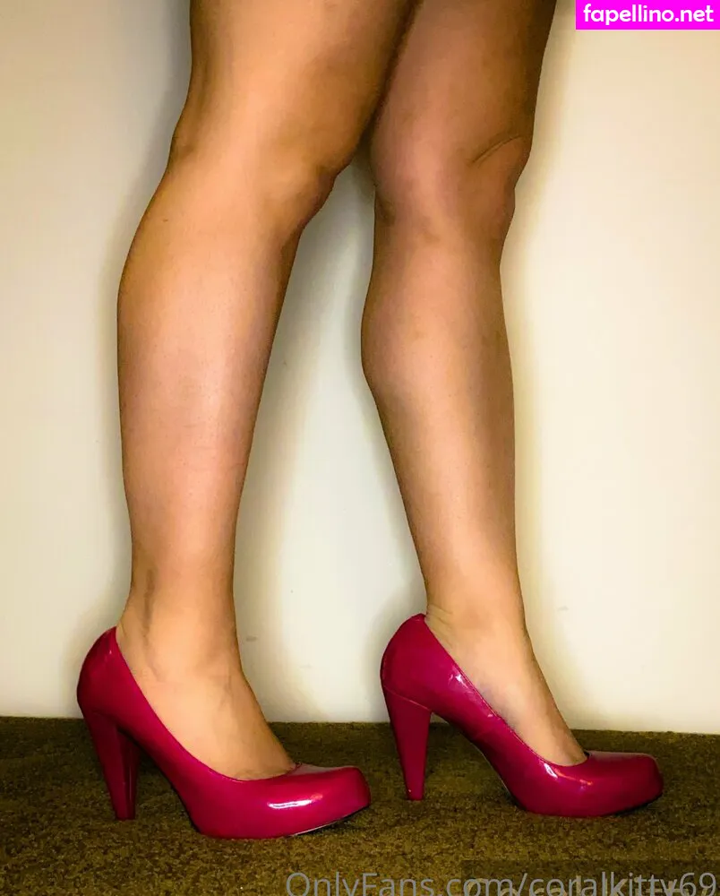 coralkitty69, ricankitty69 Nude Leaked OnlyFans Photo #jrjEbArf8x