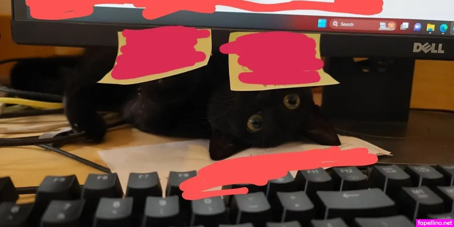 Core Conundrumium OnlyFans Thumbnail #1WmSObF5pp