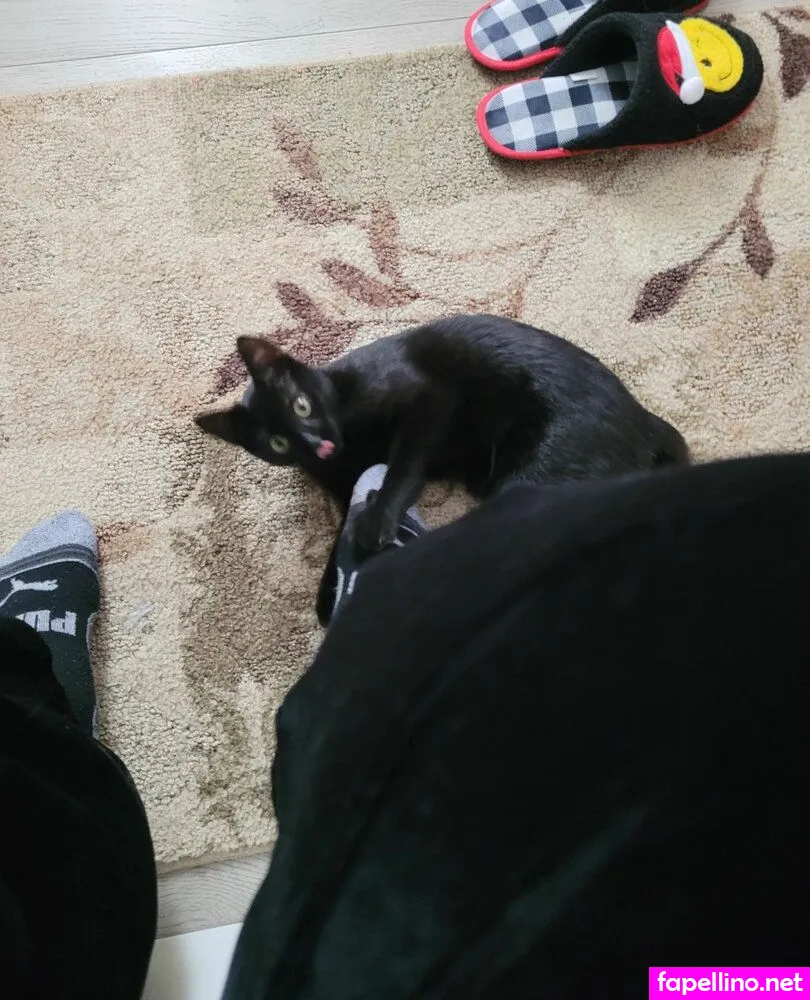 core_conundrum, core_conundrumium Nude Leaked OnlyFans Photo #YyfOUia1NZ