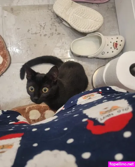 Core Conundrumium OnlyFans Thumbnail #hTr6i2F9P6