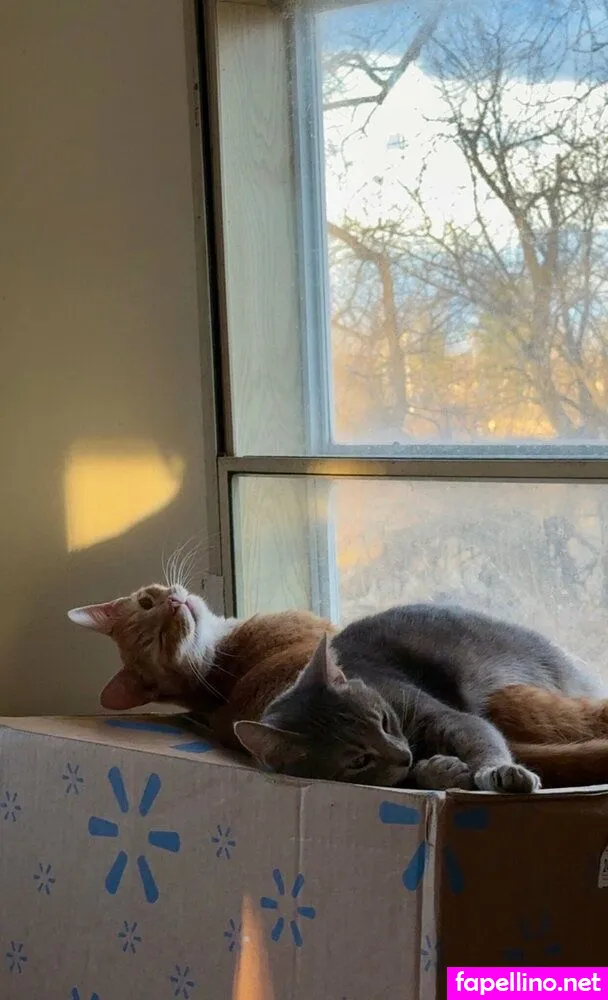 coshott234 Nude Leaked OnlyFans Photo #CVGVlZHMSv