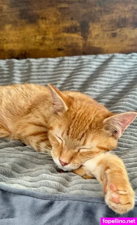 Coshott234 OnlyFans Thumbnail #TW9Ylsrssx