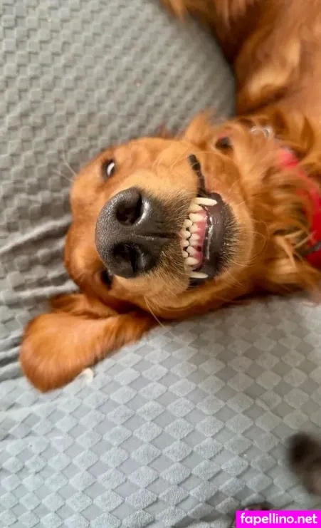 Coshott234 OnlyFans Thumbnail #k8b2NV0O4f