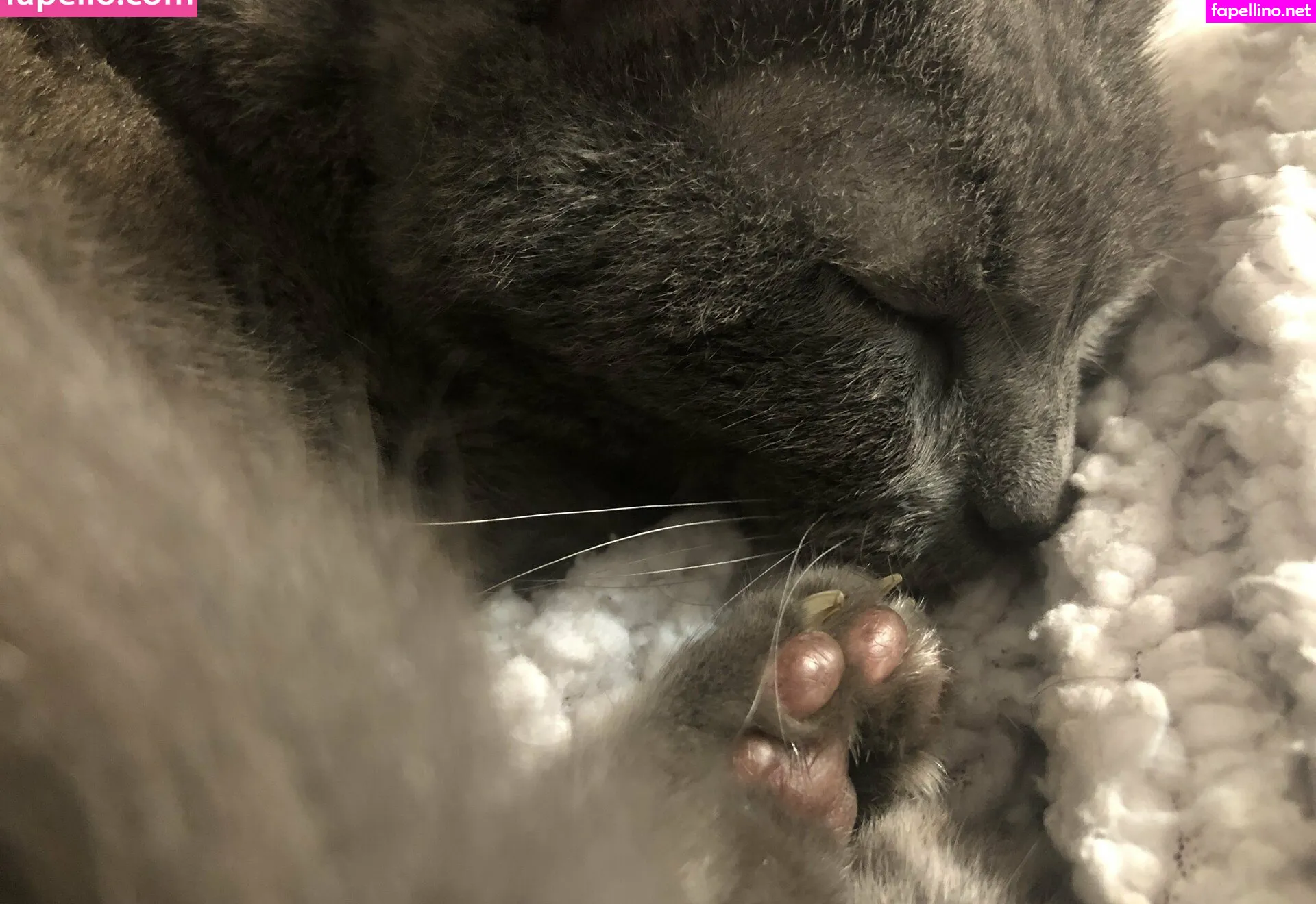 couldshouldwood, pimpdaddyrin Nude Leaked OnlyFans Photo #1XyUH1nWPU