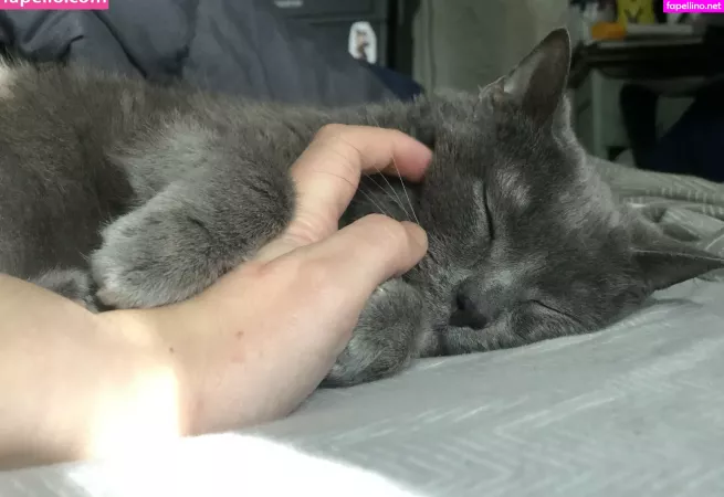 Couldshouldwood OnlyFans Thumbnail #87Lyo0mbq7