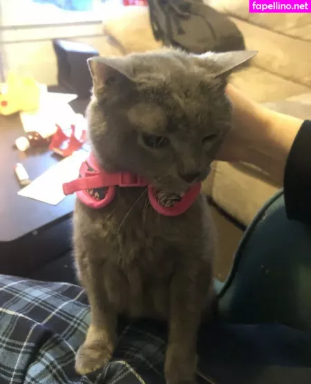 Couldshouldwood OnlyFans Thumbnail #NvEKvx6jJM