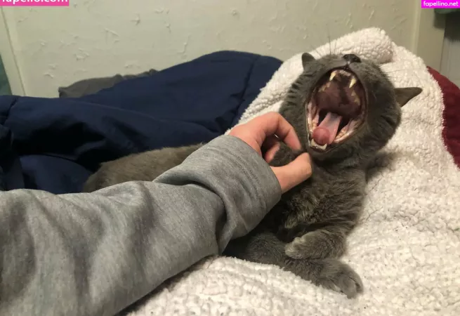 Couldshouldwood OnlyFans Thumbnail #QLLO4dvZ5E