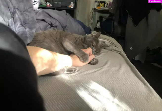 Couldshouldwood OnlyFans Thumbnail #f2ZTVAjv5F