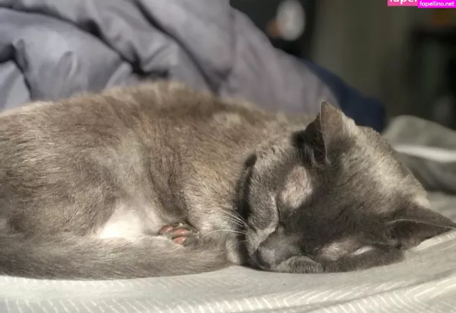 Couldshouldwood OnlyFans Thumbnail #jZf0nfirmr