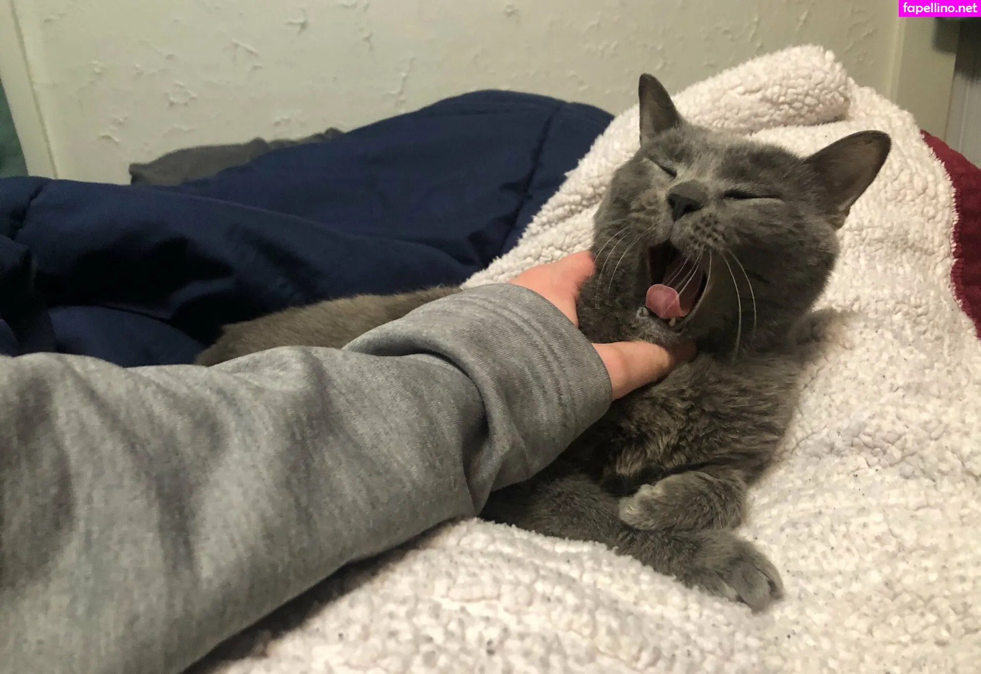 couldshouldwood, pimpdaddyrin Nude Leaked OnlyFans Photo #kOUFhFtdAZ