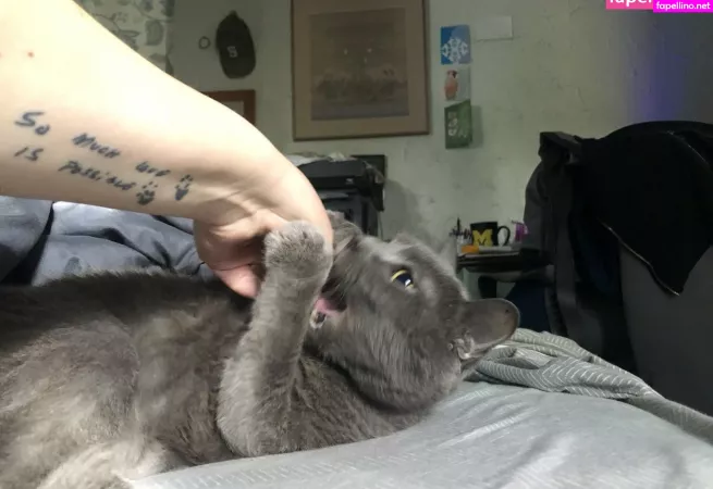 Couldshouldwood OnlyFans Thumbnail #tgoulEhuD4