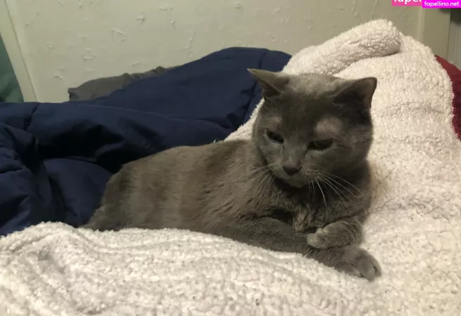 Couldshouldwood OnlyFans Thumbnail #wsr3dfBocQ