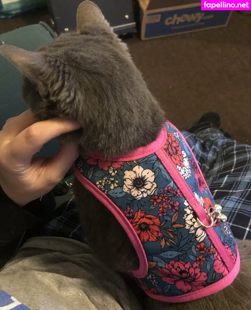 couldshouldwood, pimpdaddyrin Nude Leaked OnlyFans Photo #xZv2ncoURV