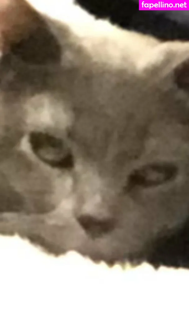 couldshouldwood, pimpdaddyrin Nude Leaked OnlyFans Photo #xiNowqRUuH