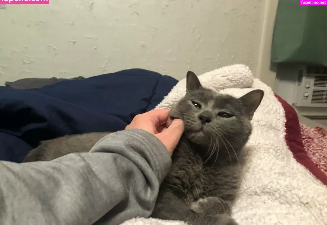 Couldshouldwood OnlyFans Thumbnail #zmcx2WPuCL