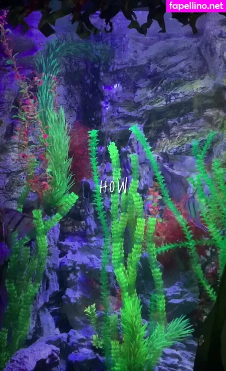 Courtney Williamson OnlyFans Thumbnail #0bvhc9eNRm