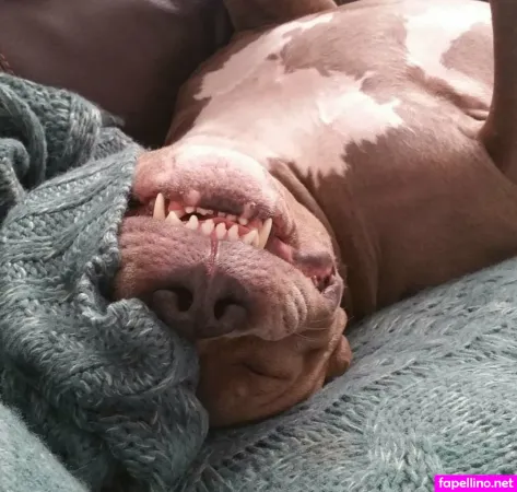 Courtneyhansen OnlyFans Thumbnail #TgnvazQtcx