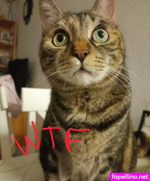 cris_occhiverdi, u186774561 Nude Leaked OnlyFans Photo #yy7rORhmEc