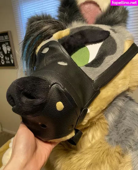 Crownmutt OnlyFans Thumbnail #JTneokGAwg