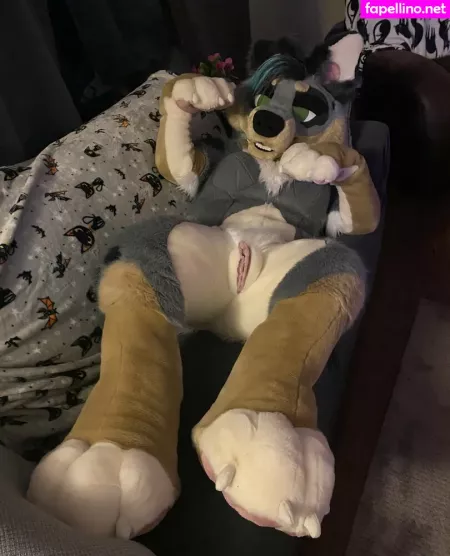 Crownmutt OnlyFans Thumbnail #UxmEBDt5oA