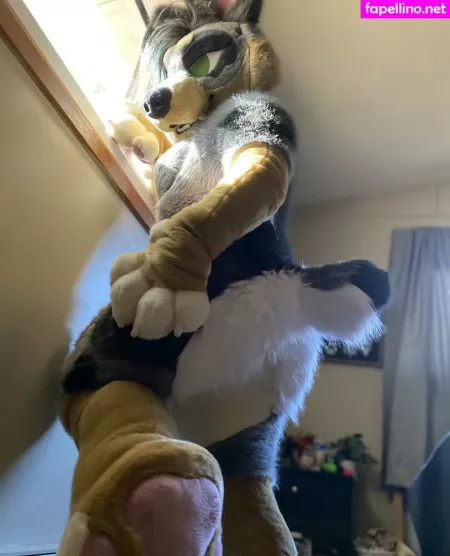 Crownmutt OnlyFans Thumbnail #ud4CMRxuYr