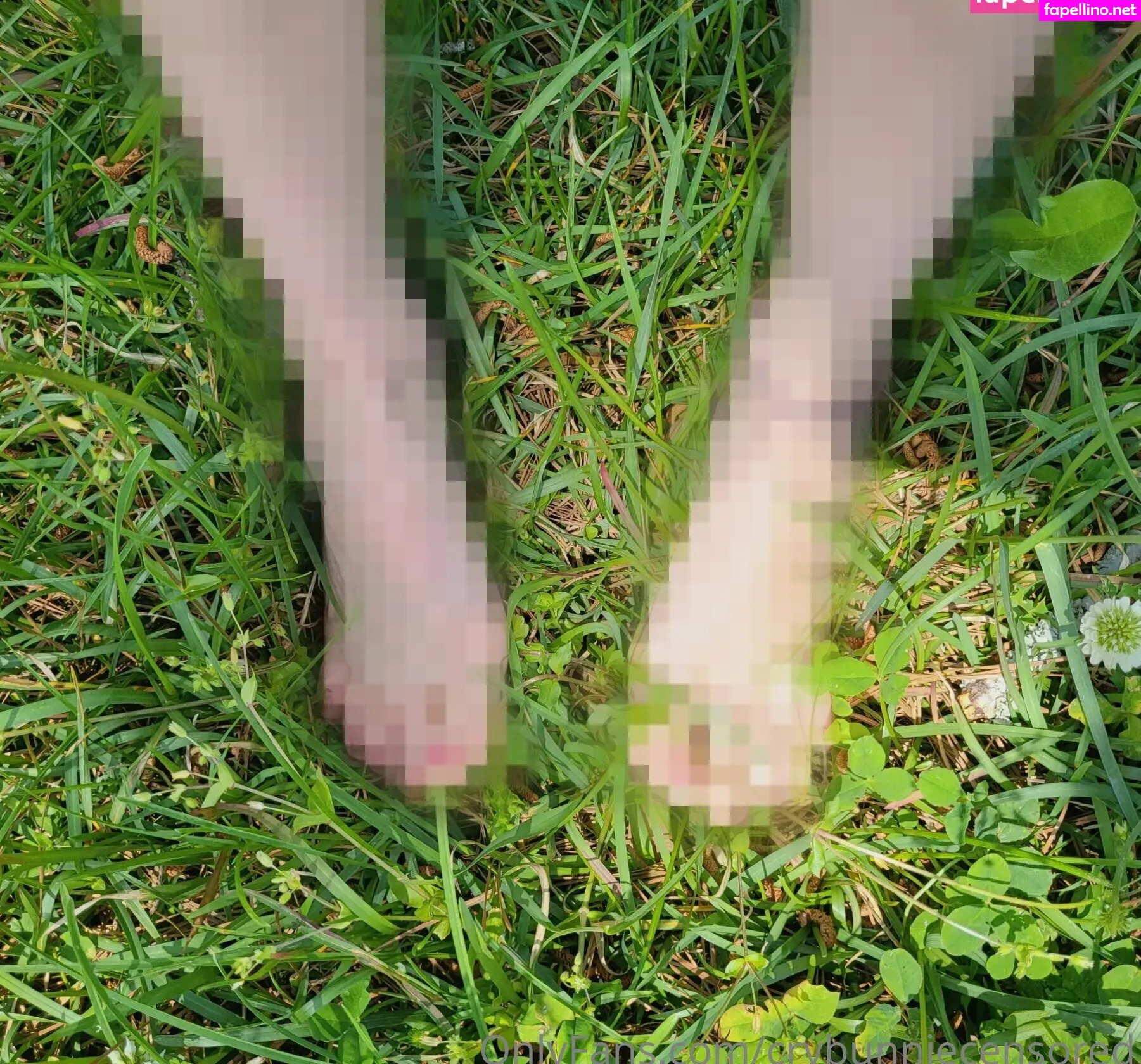 crybunnie, crybunniecensored, crybunniex Nude Leaked OnlyFans Photo #LsryhccsM7