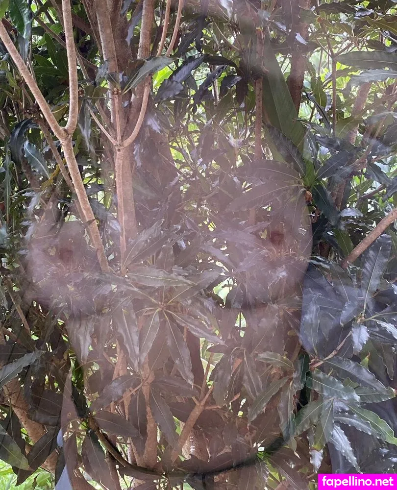 crys.michelle, divinecrystal, divinecrystalof Nude Leaked OnlyFans Photo #O0XzDmgSUi