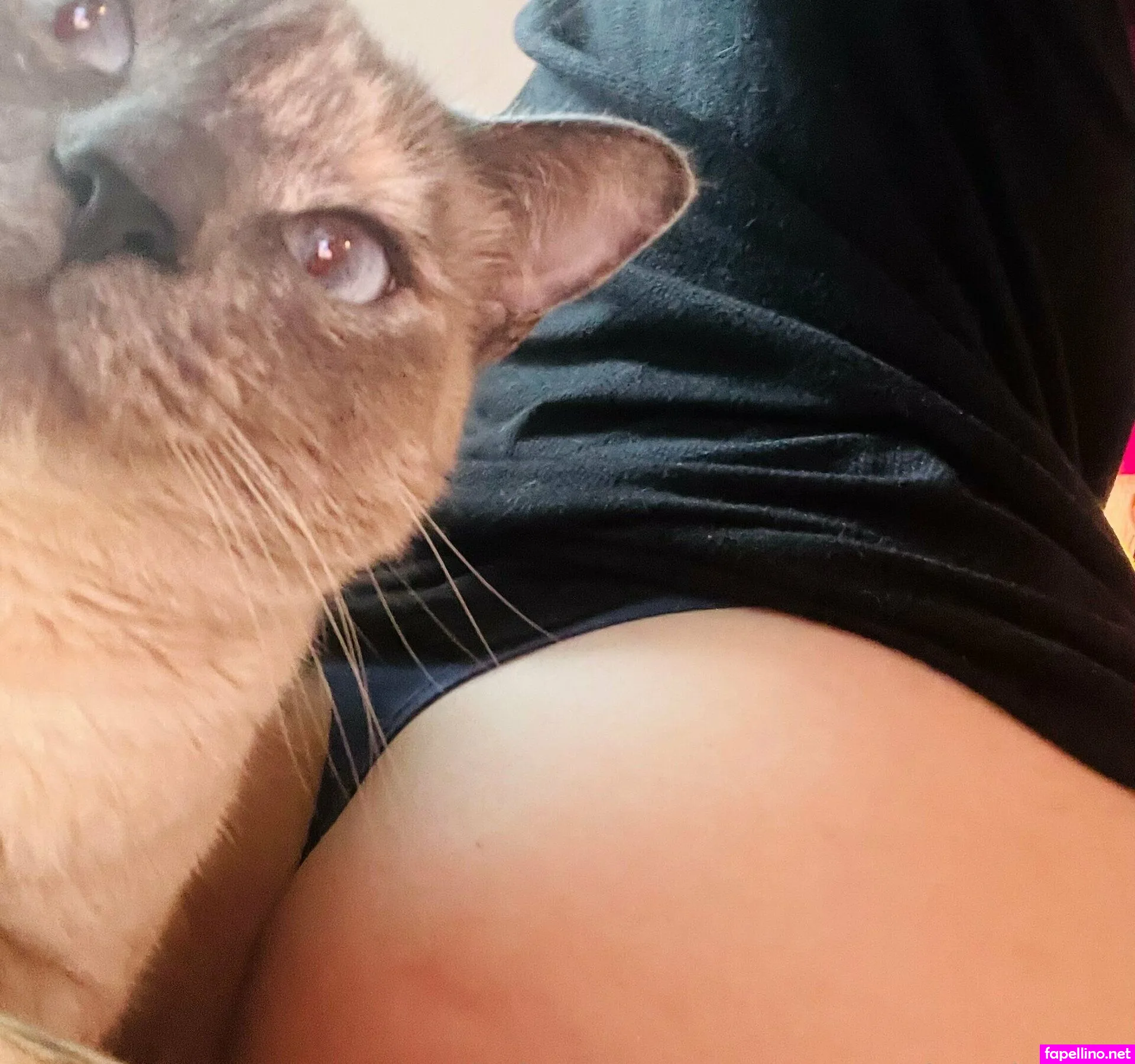 ccthewordnerd, crysta.clawthorne Nude Leaked OnlyFans Photo #gVaipzhJv9