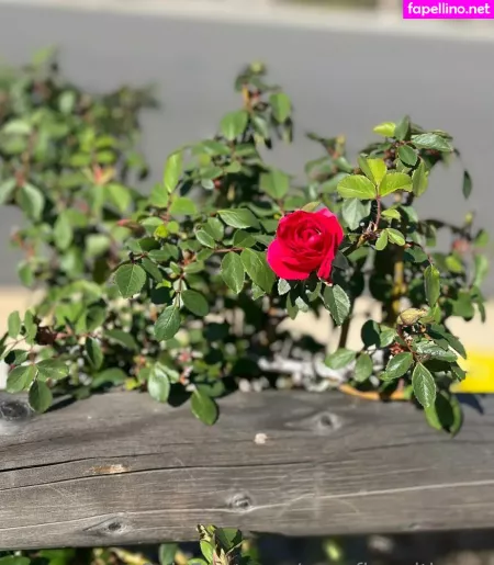 Cupofjoewithmoe OnlyFans Thumbnail #LlY7Xv8gR6