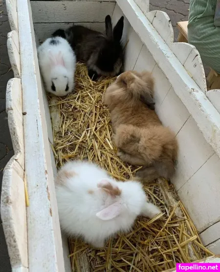 Curvy Anyya OnlyFans Thumbnail #4jEKXMOjmG