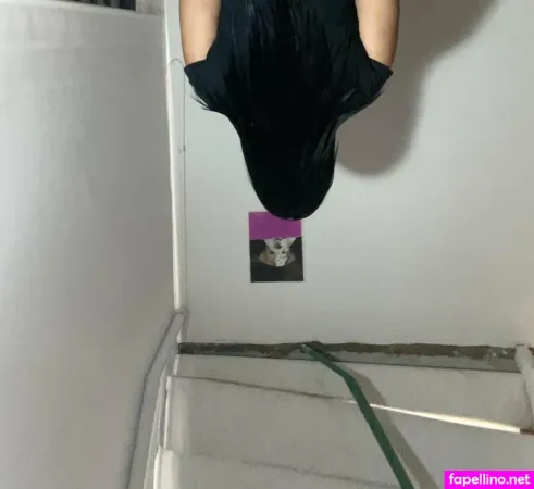 Curvy25 Main Profile Photo