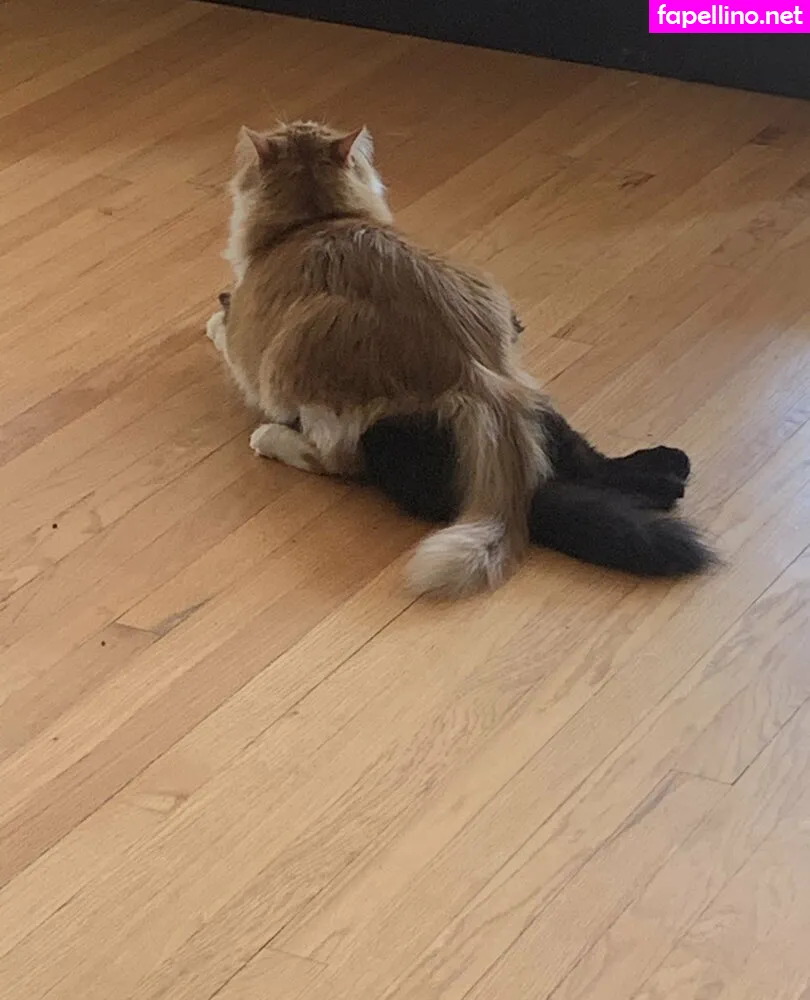 cutiekatw Nude Leaked OnlyFans Photo #2LbpUgGmA8