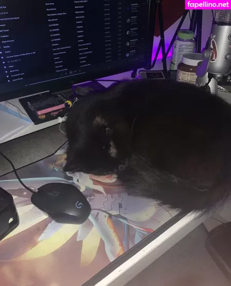 Cutiekatw OnlyFans Thumbnail #9NCzvrzeJz