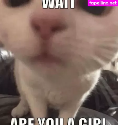 Cutiekatw OnlyFans Thumbnail #qhKka24T50