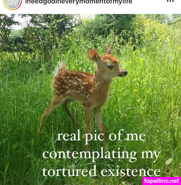 cutietownmayor, shinynewdad Nude Leaked OnlyFans Photo #h3KQbSZAFy