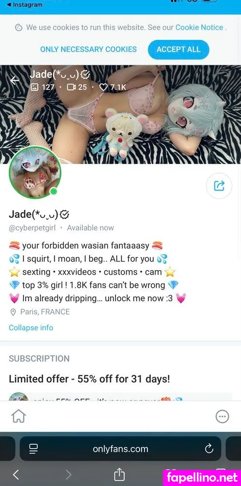 cyberpetgirl, yukiikitty Nude Leaked OnlyFans Photo #7EpyngYmio
