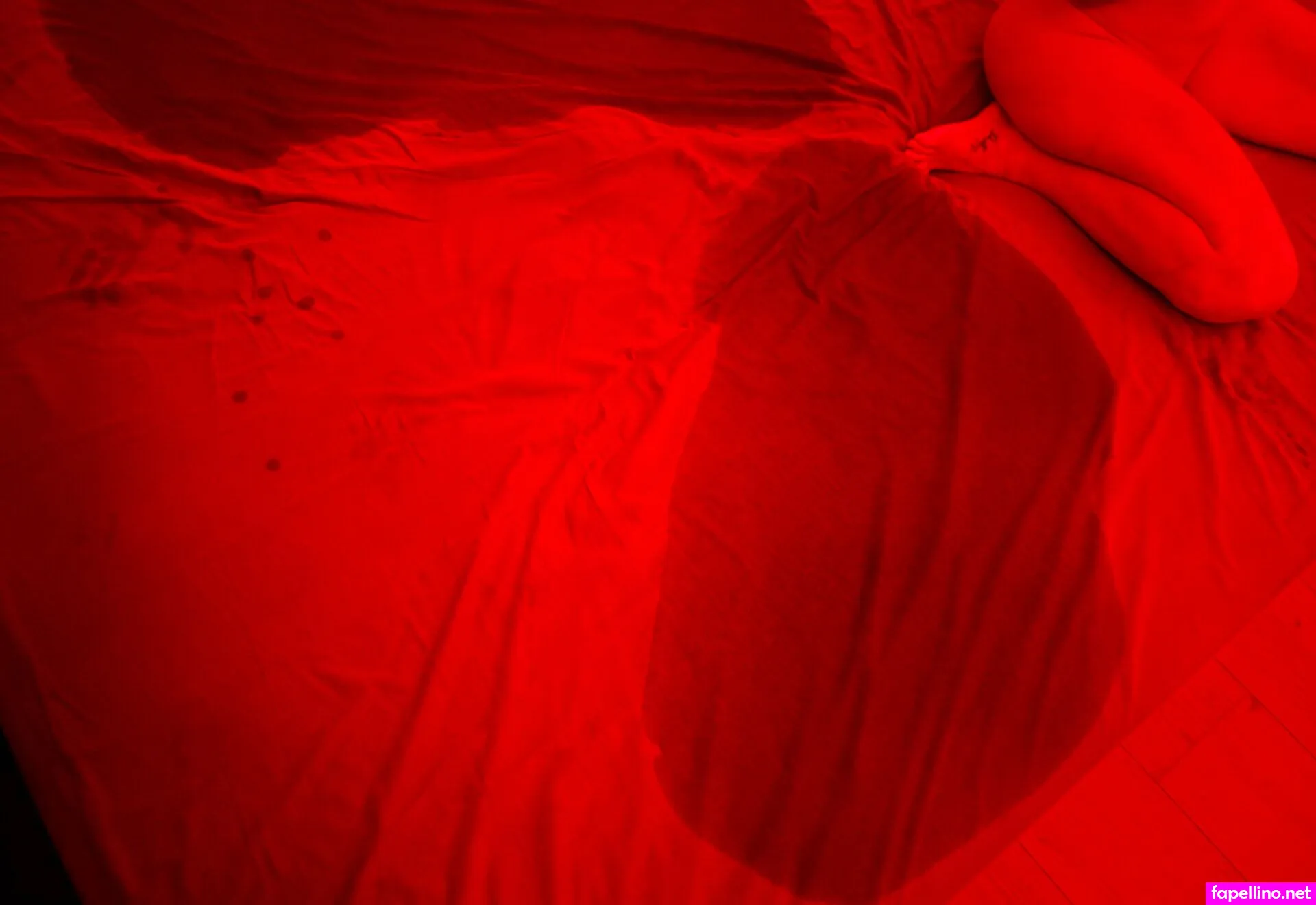 daddiesview, daddys_view_free Nude Leaked OnlyFans Photo #F9fCyzGlcg