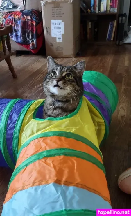 Dahliadarkest OnlyFans Thumbnail #9hTHWW8EP7