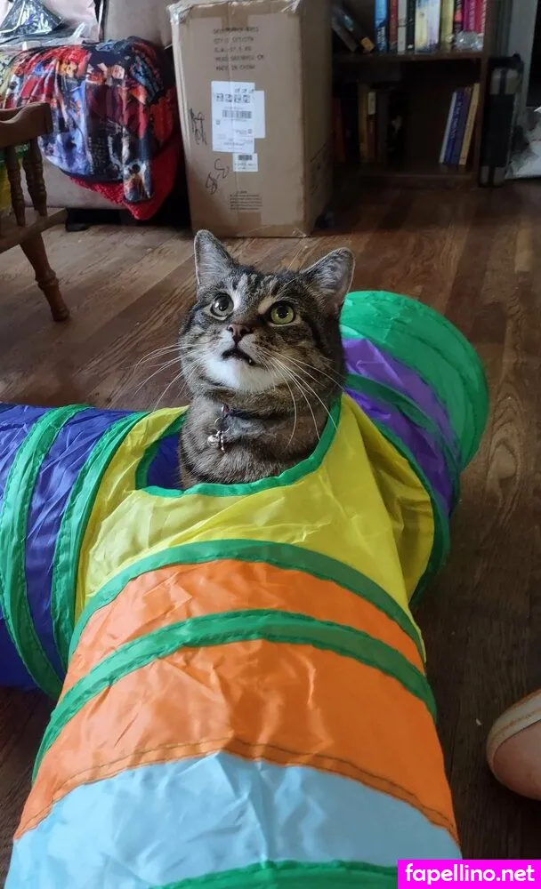 DahliaDark, dahliadarkest Nude Leaked OnlyFans Photo #9hTHWW8EP7