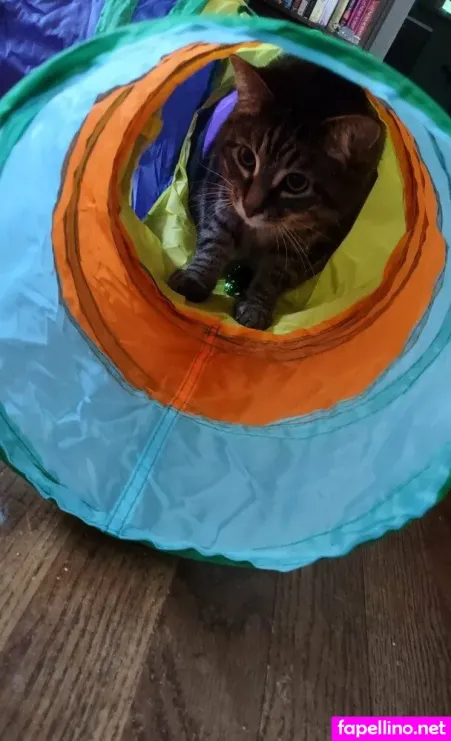 Dahliadarkest OnlyFans Thumbnail #btKbLUL3rK