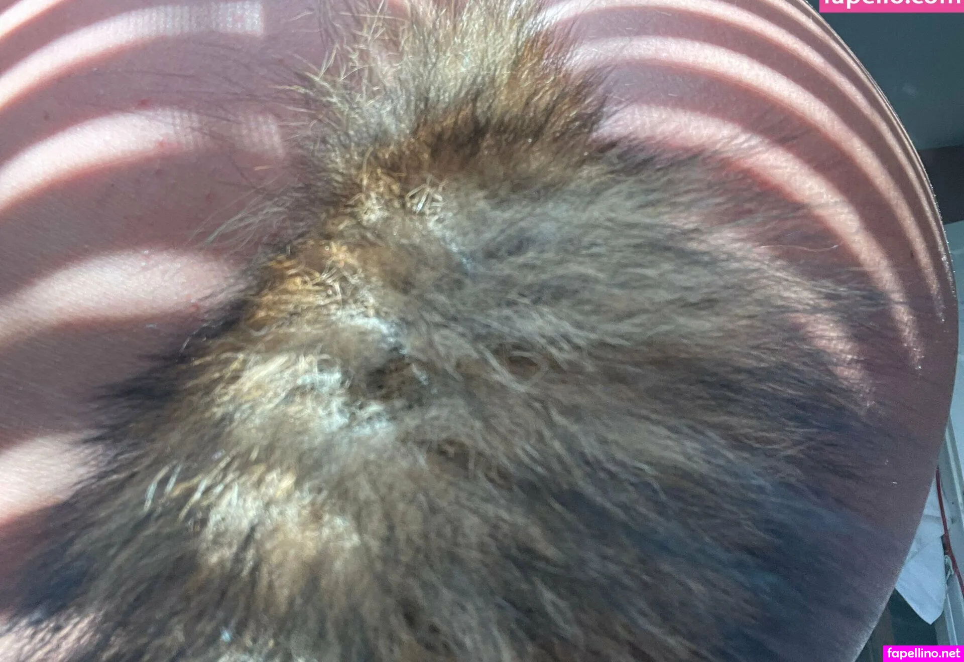 daisea4free Nude Leaked OnlyFans Photo #PqwnPKuoLW