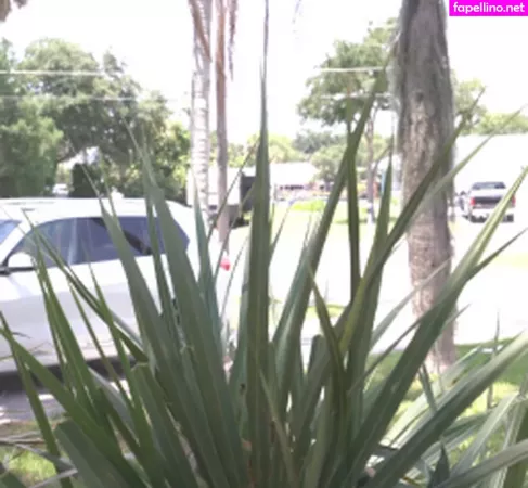 Daisy Lavoy OnlyFans Thumbnail #nmI6TaQLtB