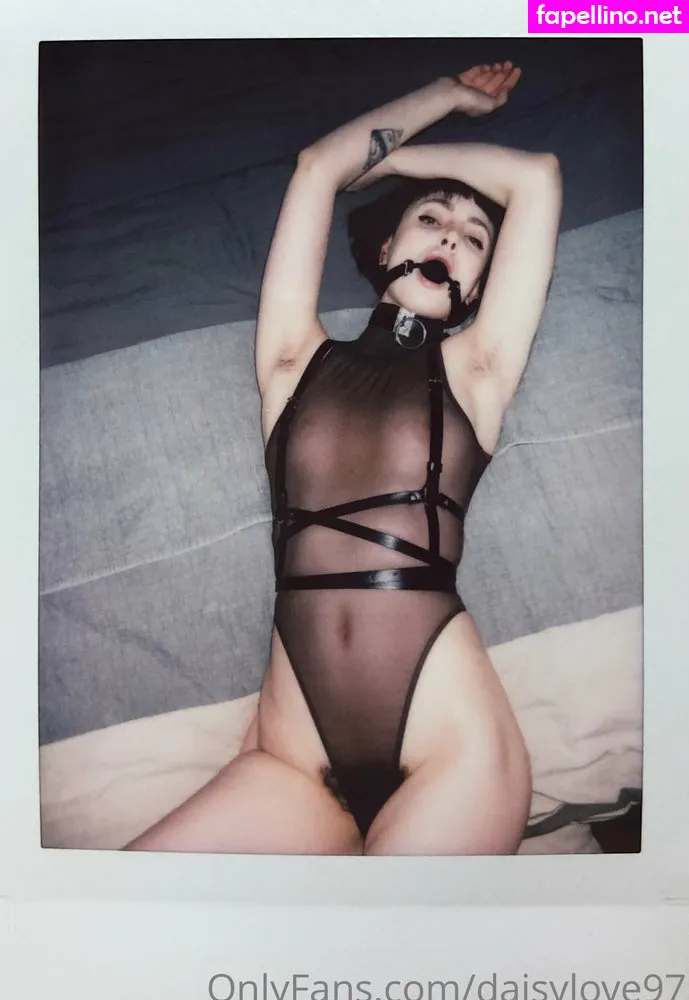 daisylove97, scottishdaisylove Nude Leaked OnlyFans Photo #7rM45d03c9